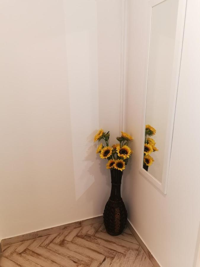 Bee Studio Daire Iernut Dış mekan fotoğraf